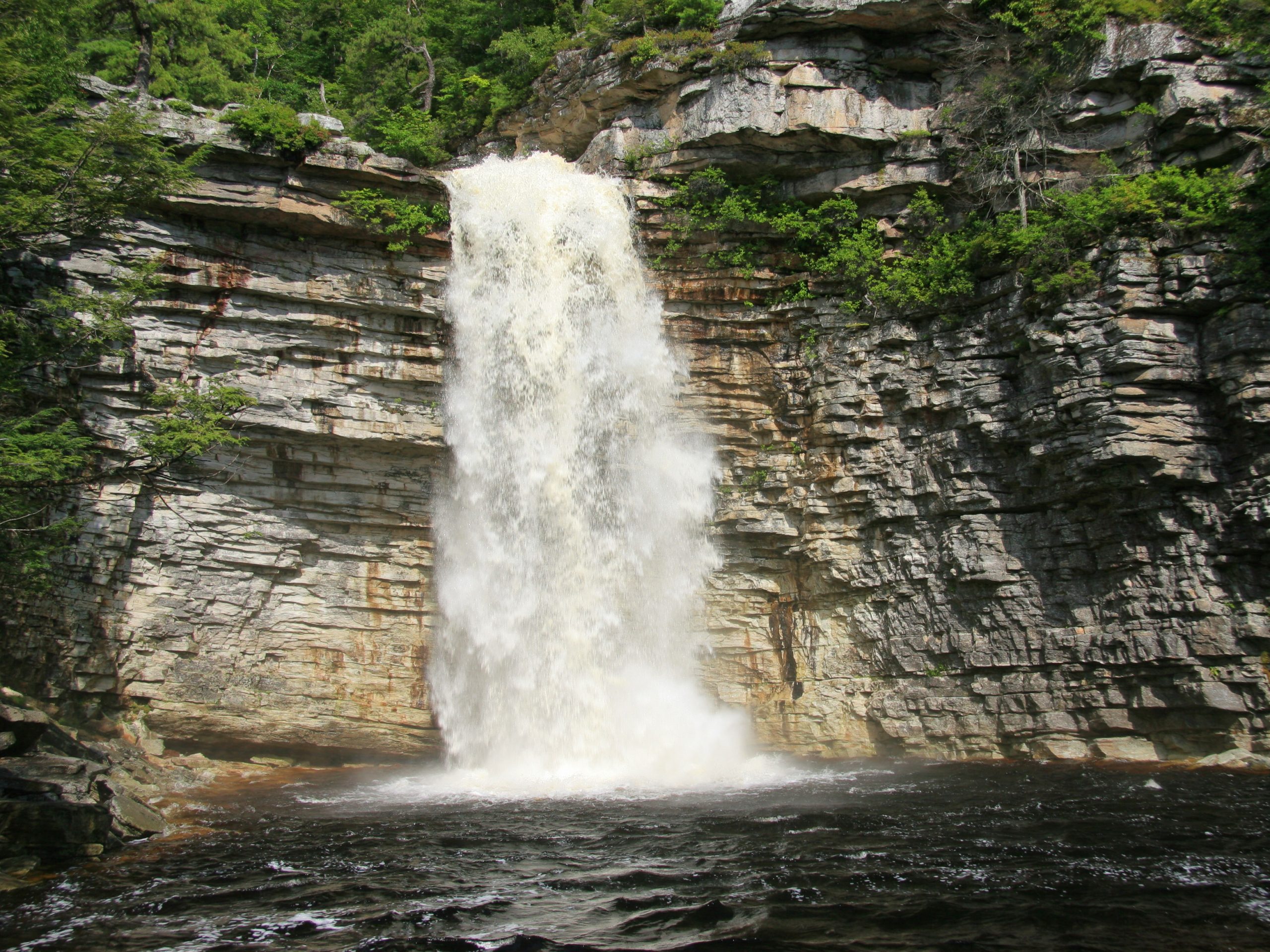 trip-image