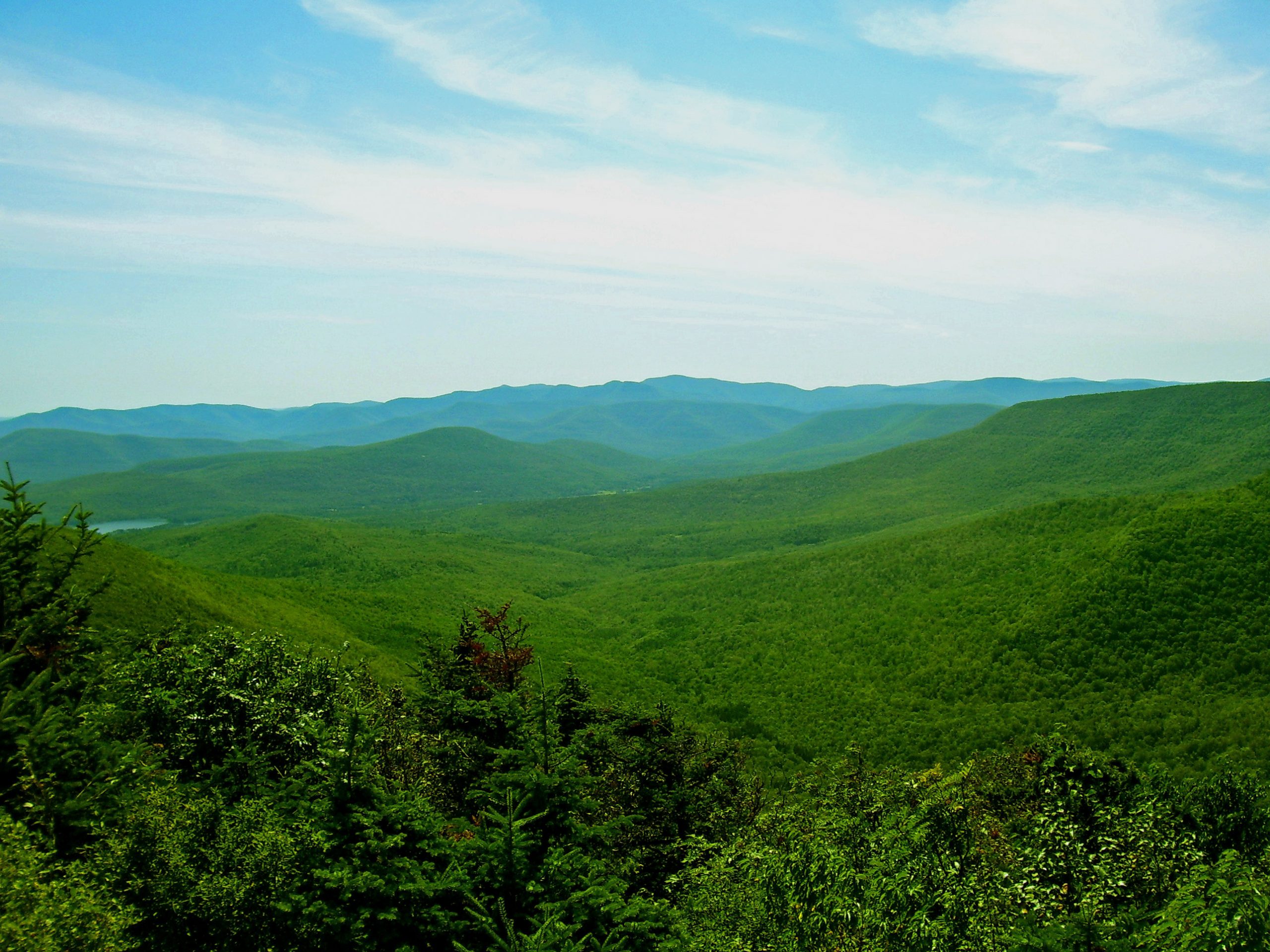 trip-image